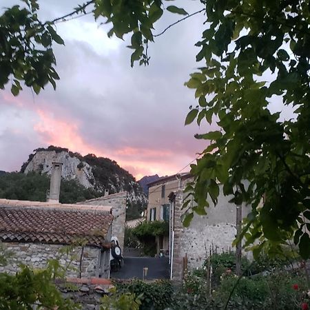 Le Chateau Camps-sur-l'Agly エクステリア 写真