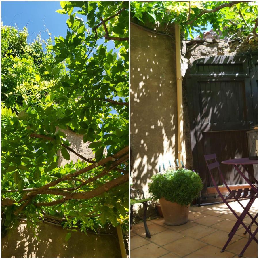 Le Chateau Camps-sur-l'Agly エクステリア 写真