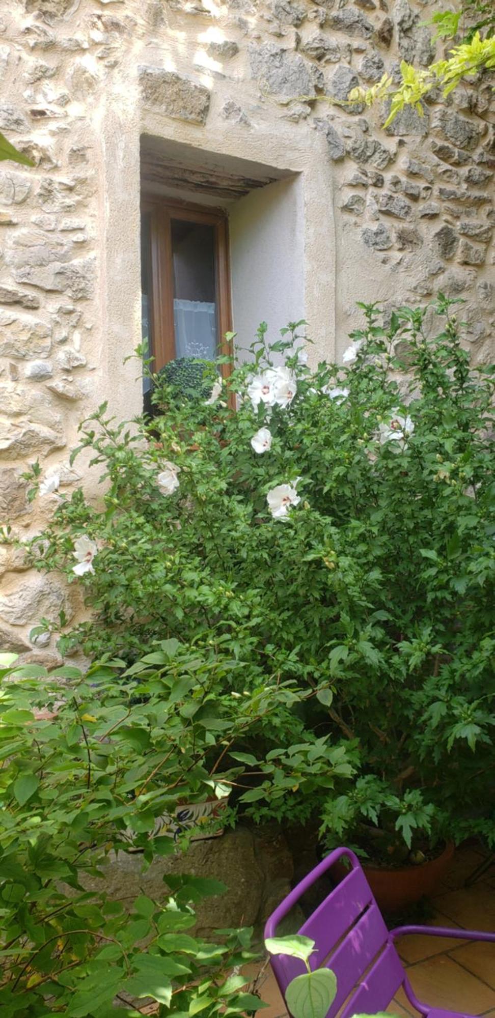 Le Chateau Camps-sur-l'Agly エクステリア 写真