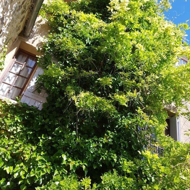 Le Chateau Camps-sur-l'Agly エクステリア 写真